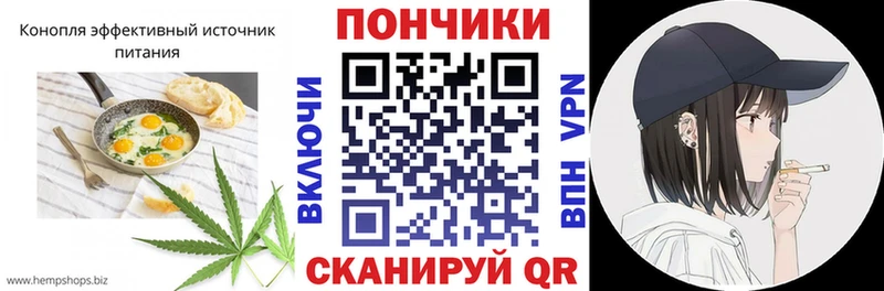 Canna-Cookies марихуана  MEGA как войти  Стрежевой 