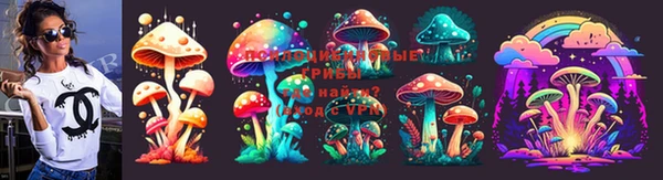 герыч Арсеньев