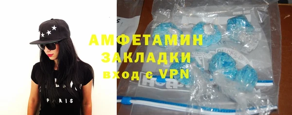 трава Аркадак