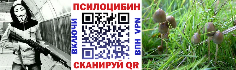omg зеркало  Стрежевой  Псилоцибиновые грибы ЛСД  где найти наркотики 